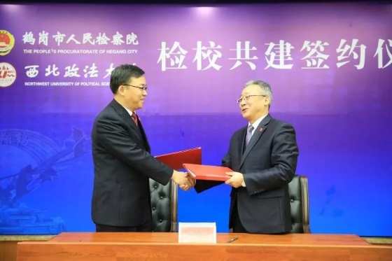 1546171176129977.jpg 5.jpg