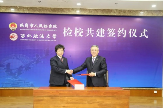 1546171218140645.jpg 7.jpg