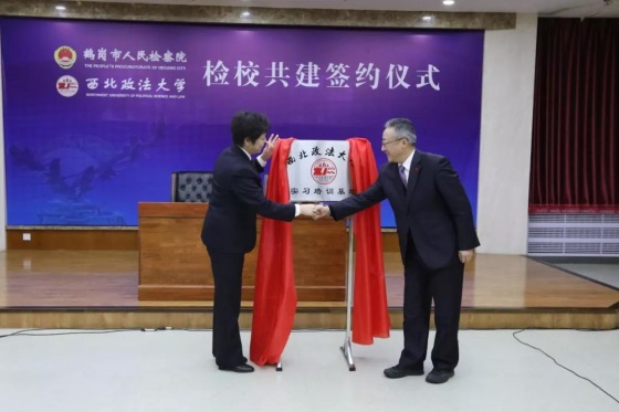 1546171268868424.jpg 8.jpg