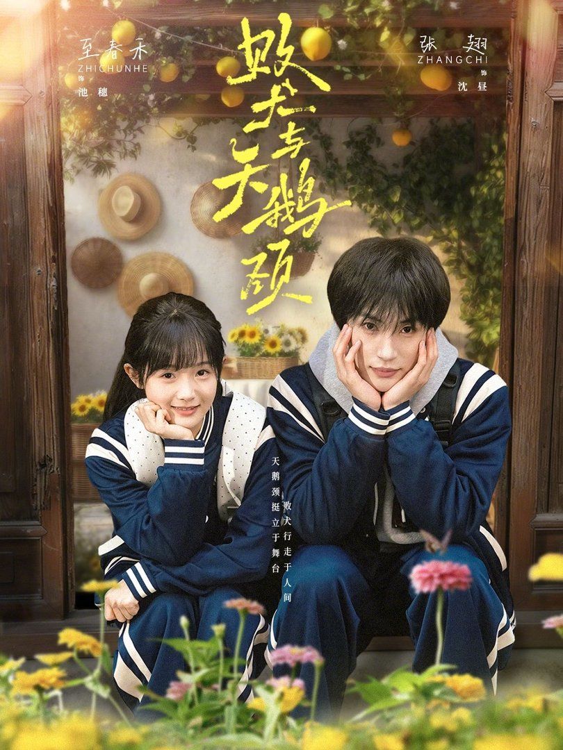 齐木楠雄的灾难